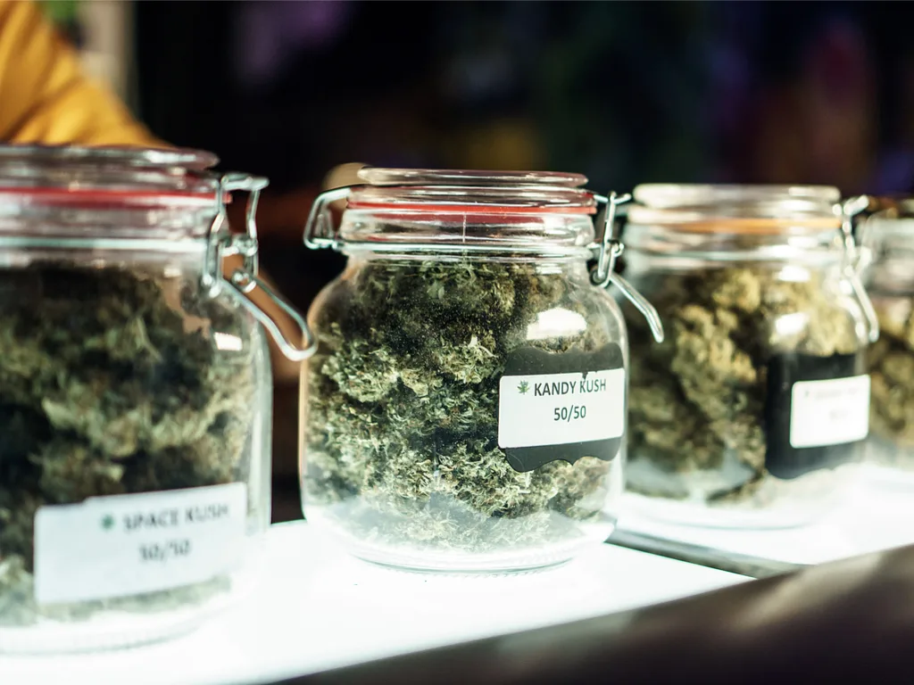 How Cannabis Dispensaries Work