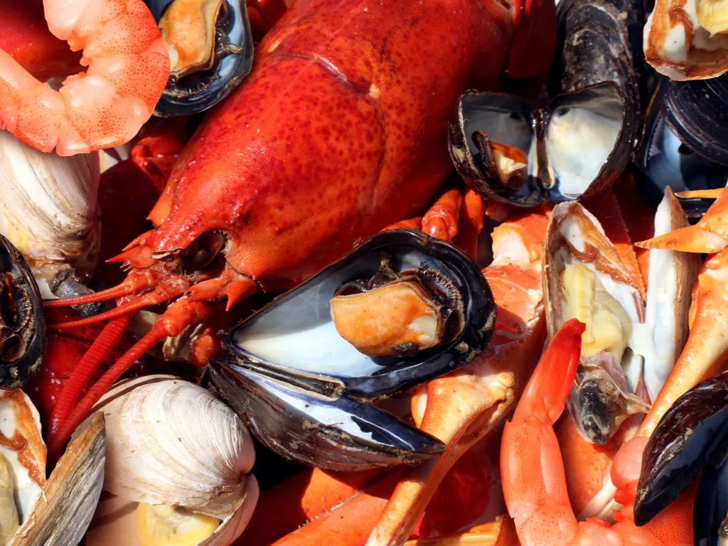What You Need to Know About Shellfish Allergies